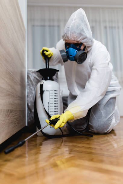 Emergency Pest Control in Val Verde, CA